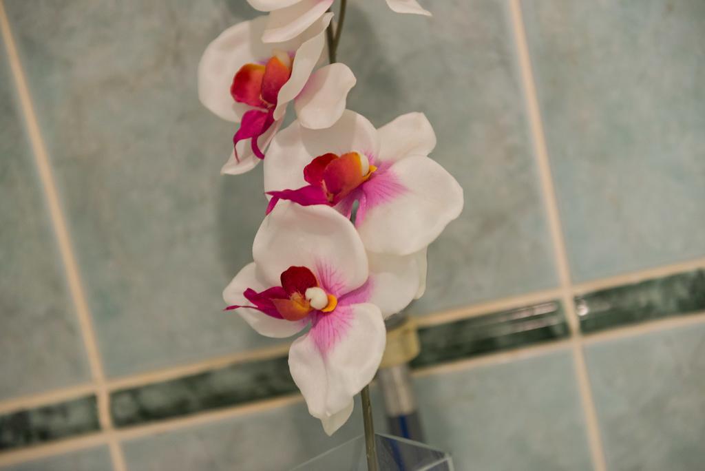 Appartement Near Lapad *